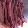 Chilled Frozen Pork Half Carcass - Gonçalves & Tortola S.A | GTFoods