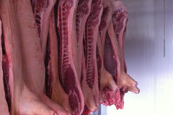 Chilled Frozen Pork Half Carcass - Gonçalves & Tortola S.A | GTFoods