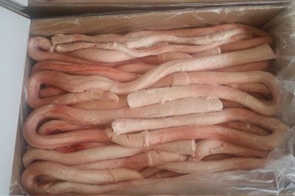 Frozen Beef Pizzles - Gonçalves & Tortola S.A | GTFoods