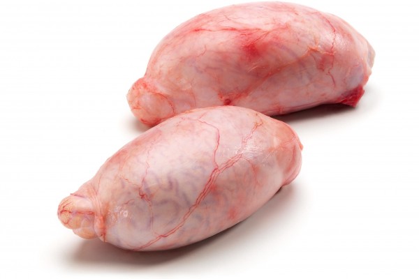 Frozen Beef Testicules - Gonçalves & Tortola S.A | GTFoods