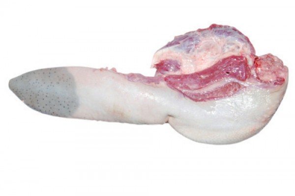 Frozen Beef Tongue - Gonçalves & Tortola S.A | GTFoods
