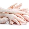 Frozen Chicken Feet Grade A - Gonçalves & Tortola S.A | GTFoods