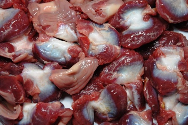 Frozen Chicken Gizzard - Gonçalves & Tortola S.A | GTFoods
