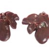 Frozen Chicken Liver - Gonçalves & Tortola S.A | GTFoods