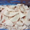 Frozen Pork Cutting Fat - Gonçalves & Tortola S.A | GTFoods