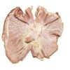 Frozen Pork Stomach - Gonçalves & Tortola S.A | GTFoods