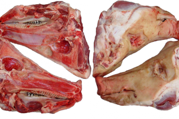 Frozen Pork heads Frozen Pork half heads - Gonçalves & Tortola S.A | GTFoods