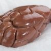 Frozen Veal Kidney - Gonçalves & Tortola S.A | GTFoods