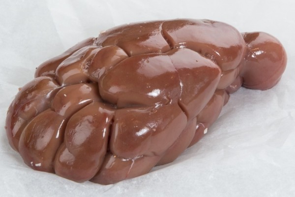 Frozen Veal Kidney - Gonçalves & Tortola S.A | GTFoods