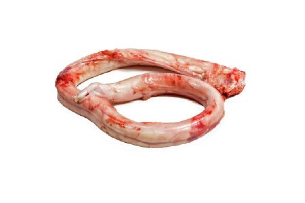 Frozen Veal Pizzle - Gonçalves & Tortola S.A | GTFoods