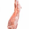 Halal Fresh Whole Lamb Carcass - Gonçalves & Tortola S.A | GTFoods