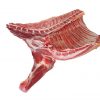 Halal Frozen Lamb Forequarter - Gonçalves & Tortola S.A | GTFoods