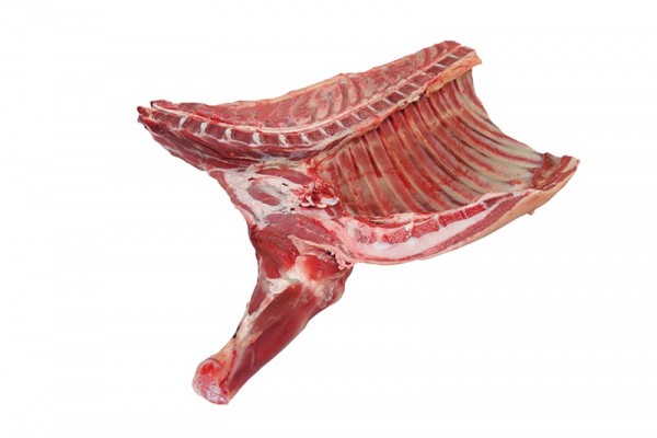 Halal Frozen Lamb Forequarter - Gonçalves & Tortola S.A | GTFoods