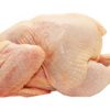 Halal Frozen Whole Chicken-Grade A - Gonçalves & Tortola S.A | GTFoods