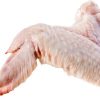 Turkey Wings (3 Joints) - Gonçalves & Tortola S.A | GTFoods