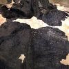 Wet salted Cow Hides - Gonçalves & Tortola S.A | GTFoods