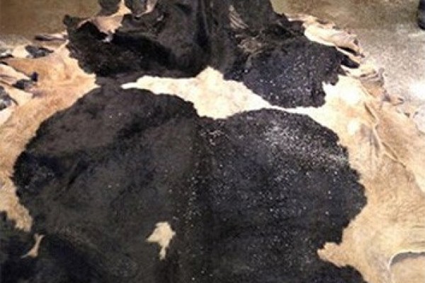 Wet salted Cow Hides - Gonçalves & Tortola S.A | GTFoods